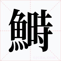 鰣字的字形和写法