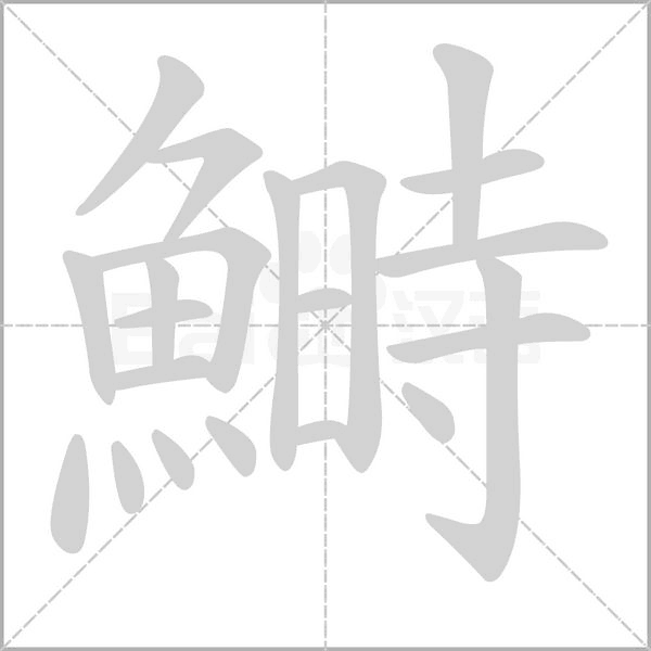 鰣字笔顺图