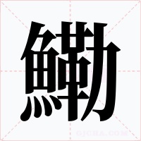 鰳字字形