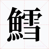鱈字字形