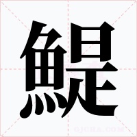 鯷字的字形和写法