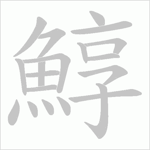 鯙字笔顺图