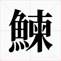 鰊字字形