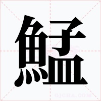 鯭字的字形和写法