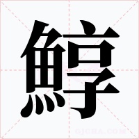鯙字的字形和写法