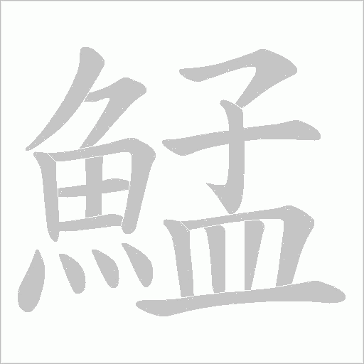 鯭字笔顺图