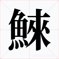 鯠字的字形和写法