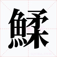 鰇字的字形和写法