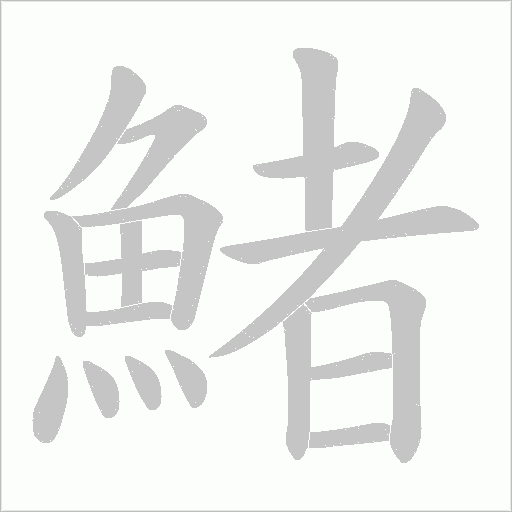 鯺字笔顺图