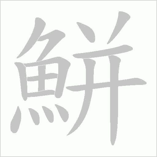 鮩字笔顺图