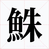 鮢字的字形和写法