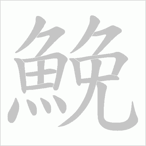 鮸字笔顺图