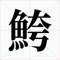 鮬字字形
