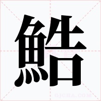 鯌字字形
