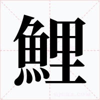 鯉字字形