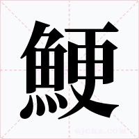 鯁字的字形和写法
