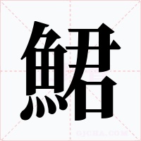 鮶字字形