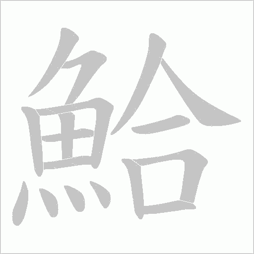 鮯字笔顺图
