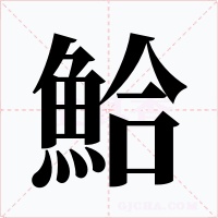 鮯字字形