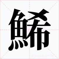 鯑字的字形和写法