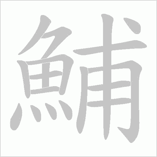 鯆字笔顺图