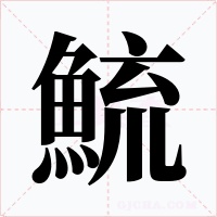 鯍字字形