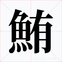 鮪字字形