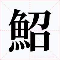 鮉字字形