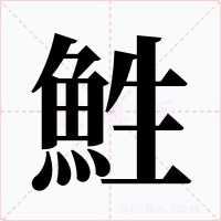 鮏字字形