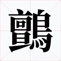 鸇字字形