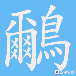 鸍字笔顺图