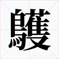 鸌字字形