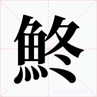 鮗字的字形和写法