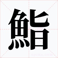鮨字的字形和写法