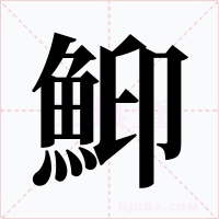鮣字的字形和写法