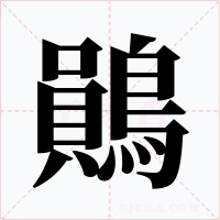 鶰字的字形和写法