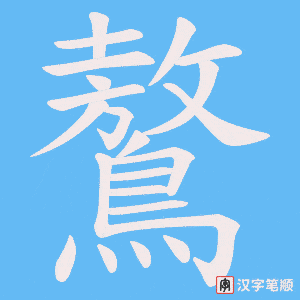 鷔字笔顺图