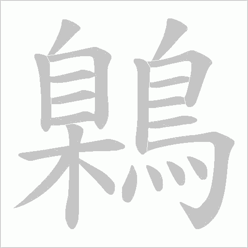 鷍字笔顺图