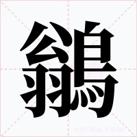 鶲字的字形和写法