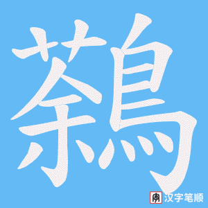鷋字笔顺图