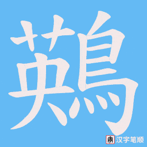 鶧字笔顺图