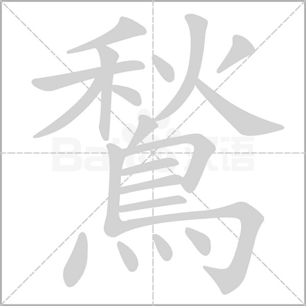 鶖字笔顺图