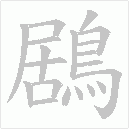 鶋字笔顺图