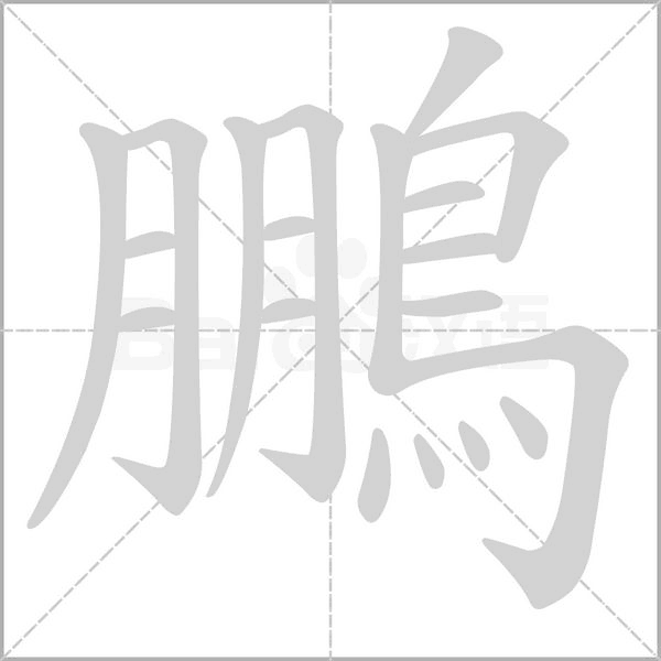 鵬字笔顺图
