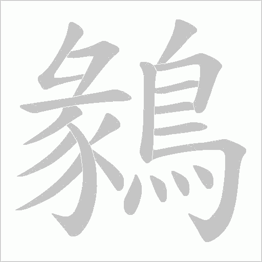 鶨字笔顺图