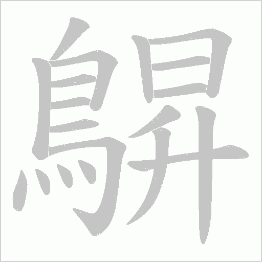 鵿字笔顺图
