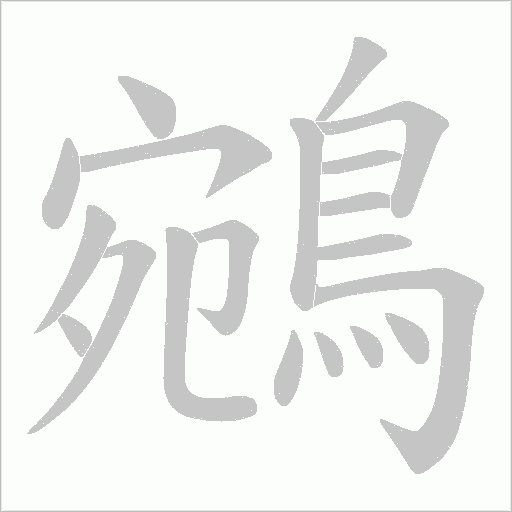 鵷字笔顺图