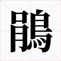 鵑字的字形和写法