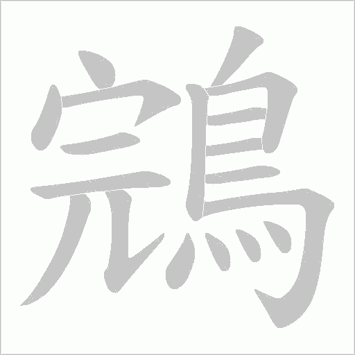 鵍字笔顺图