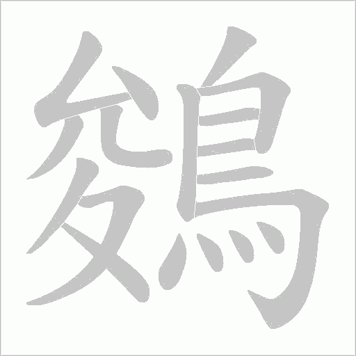 鵕字笔顺图